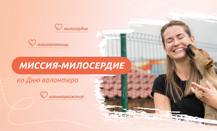 Занятие курса внеурочной деятельности «Разговоры о важном» по теме «Миссия - милосердие. Ко Дню волонтёра»..
