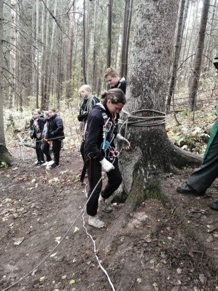 Соревнования по спортивному туризму среди учащихся образовательных учреждений.
